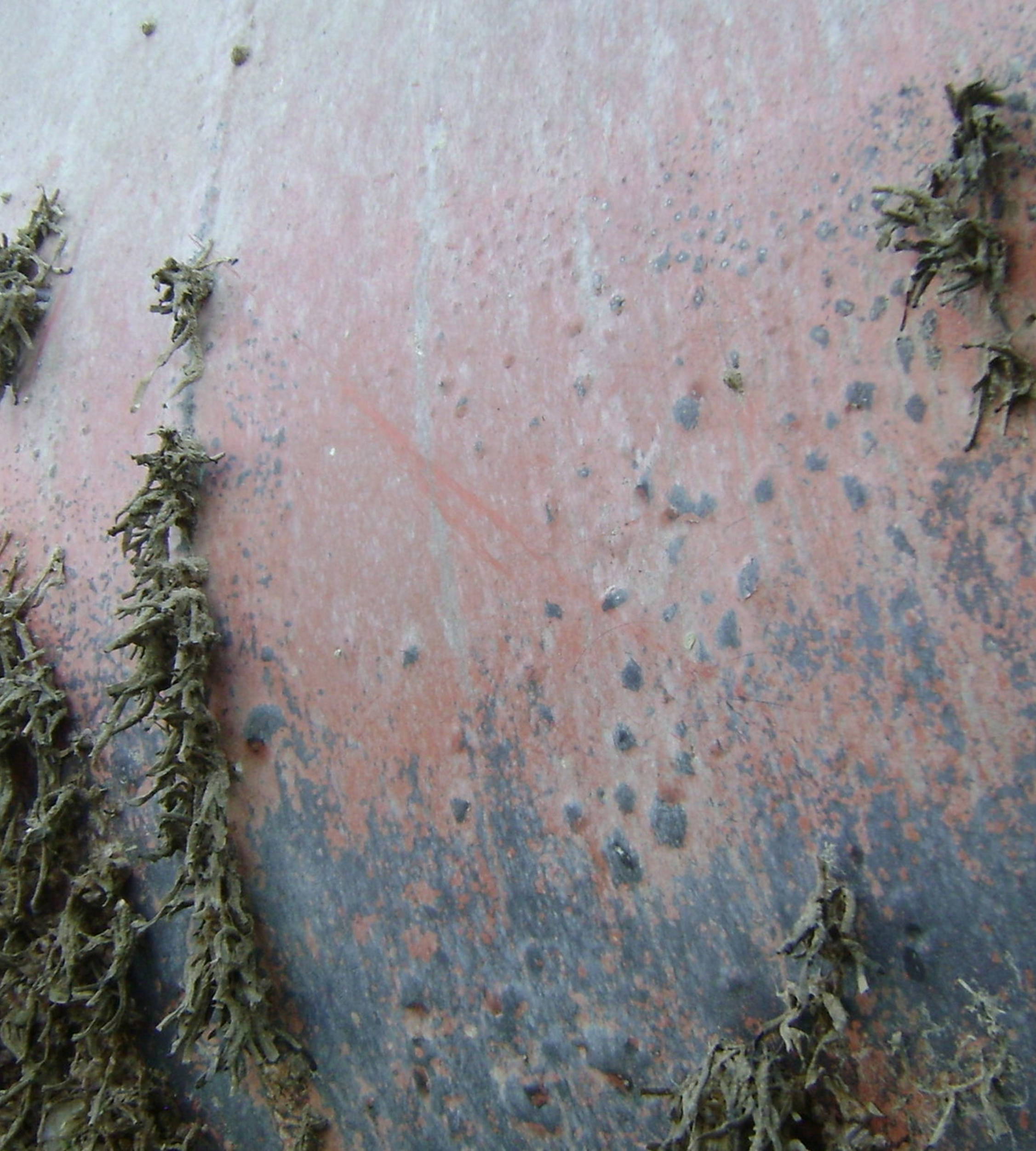 A ship hull with seaweed