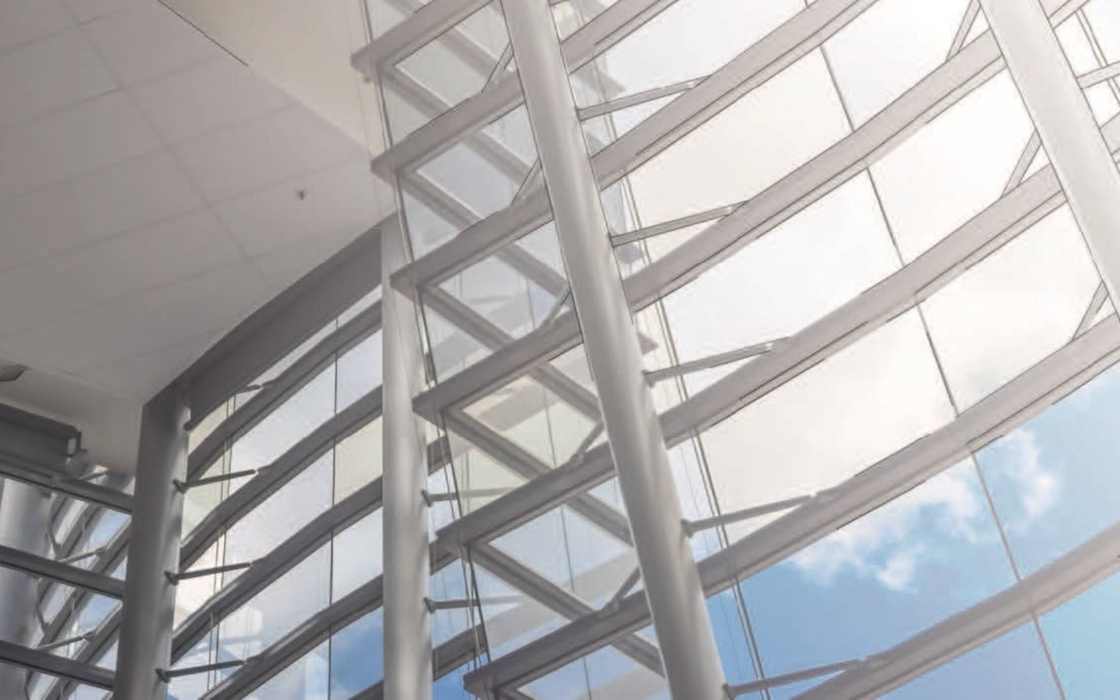 Windows of a building surrounded by structural steel