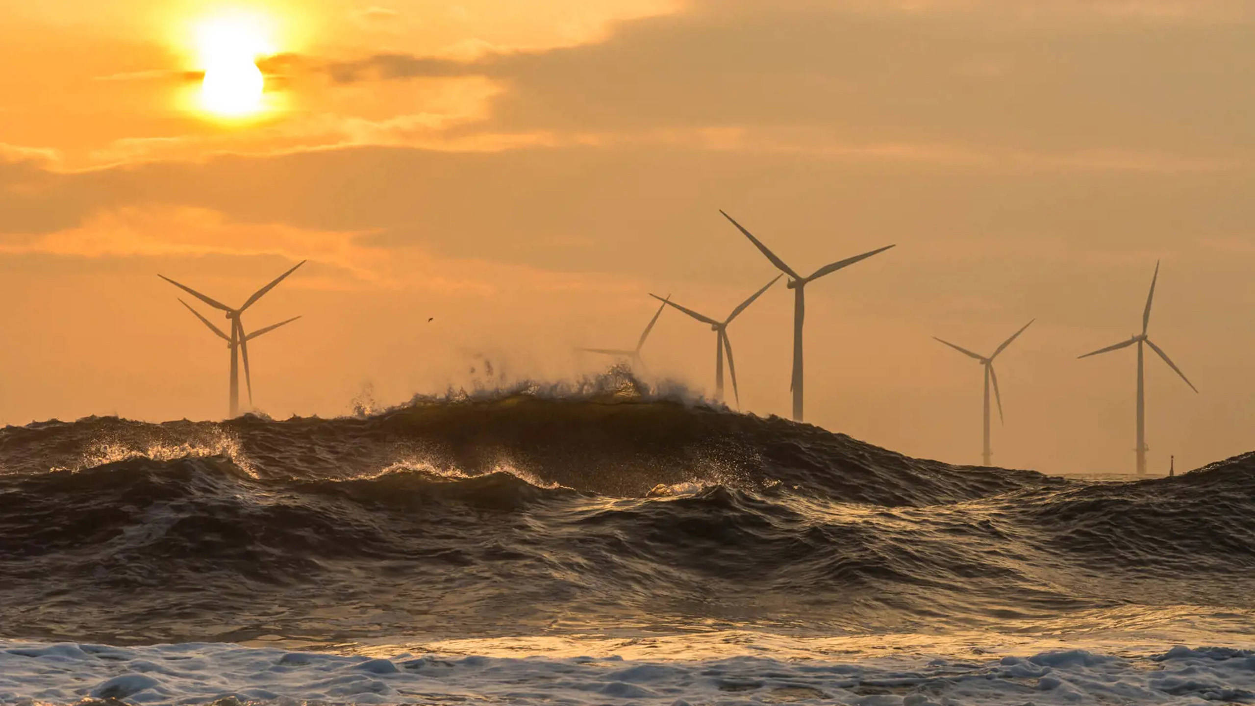 Wind farm at sea