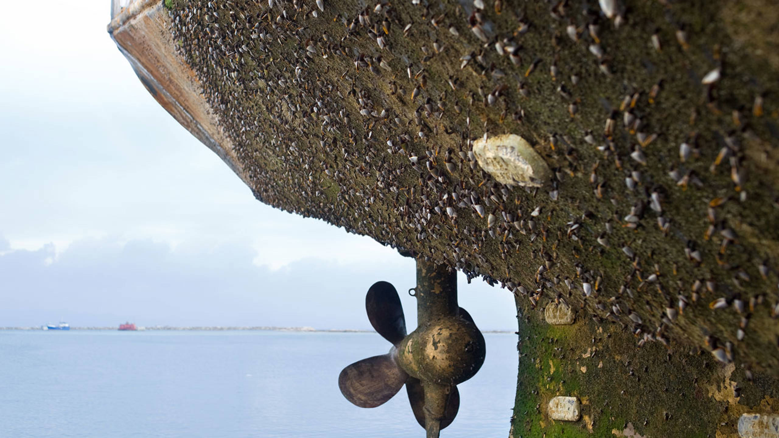 Fouling is one of the biggest challenges for ship owners all over the world. It increases fuel costs tremendously.