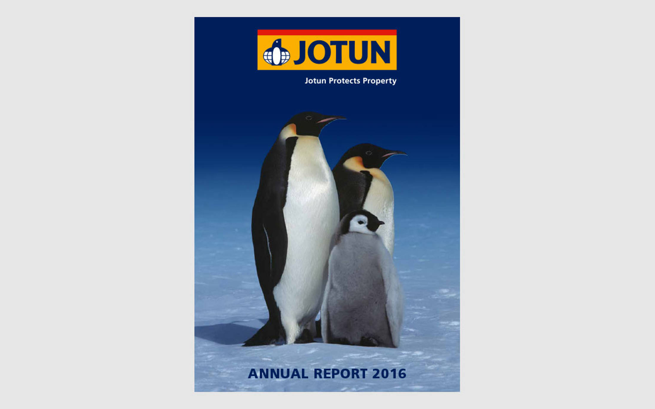 Annual Report 2016